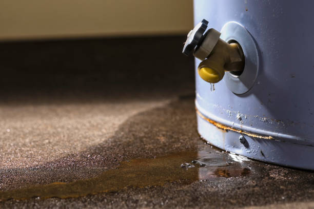Best Water damage restoration services  in Fort Lee, NJ