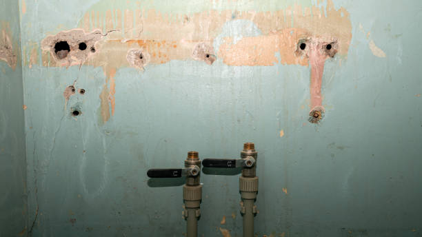 Best Flood damage cleanup  in Fort Lee, NJ