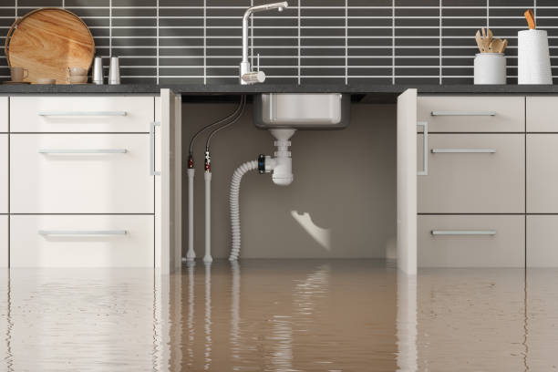 Best 24-hour water damage restoration  in Fort Lee, NJ