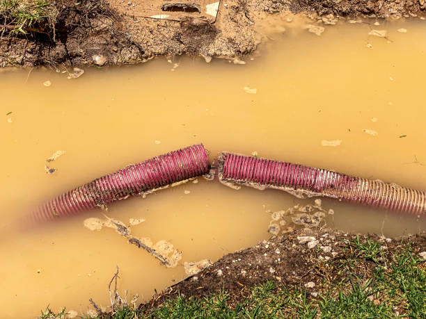 Best Water damage restoration near me  in Fort Lee, NJ